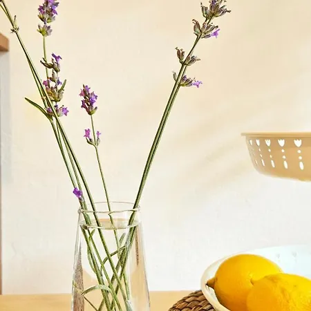 Baciati Dal Sole-self Check-in *